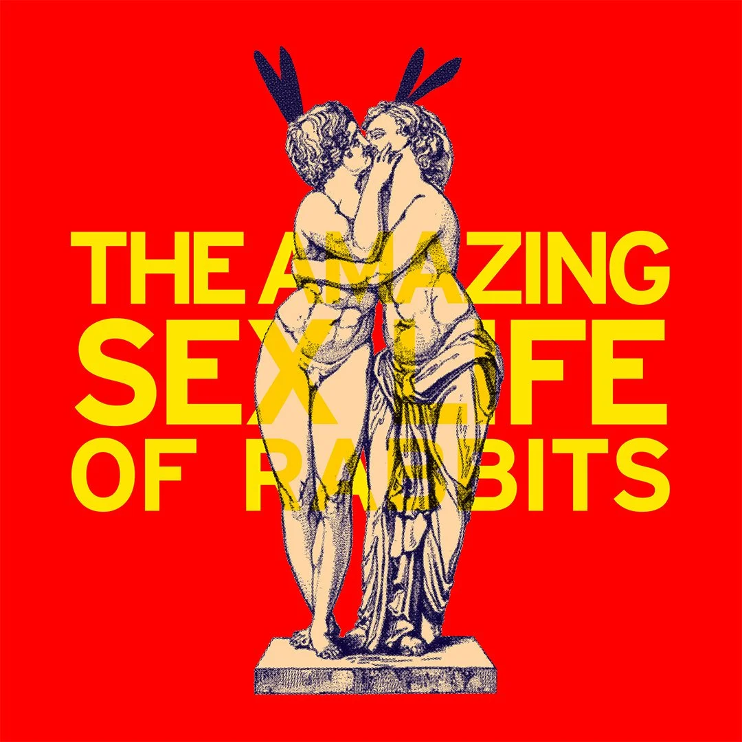amazing_rabbits-1080x1080 - square.jpg