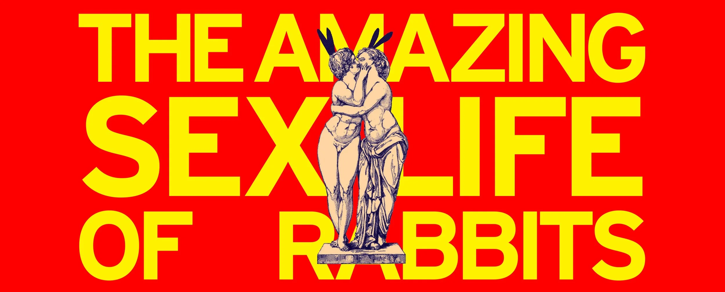 amazing_rabbits-Banner - 11x7 - v2.jpg
