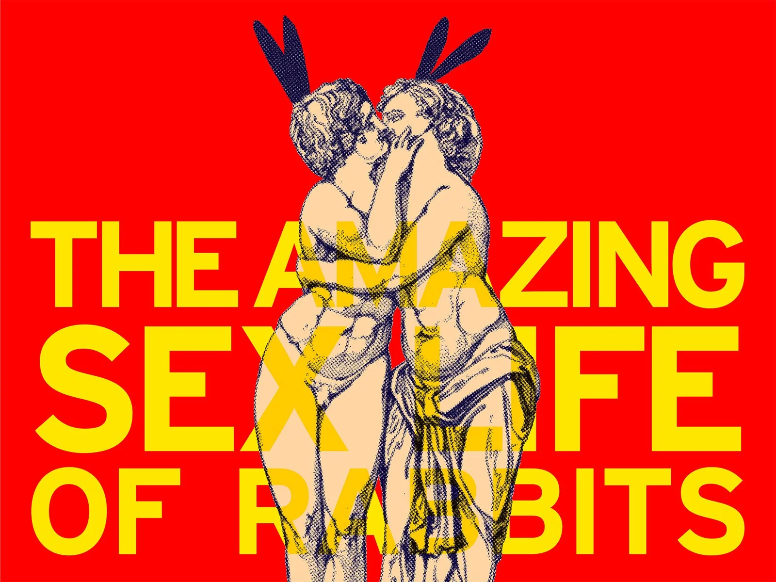 amazing_rabbits-1600x1200 Header image.jpg