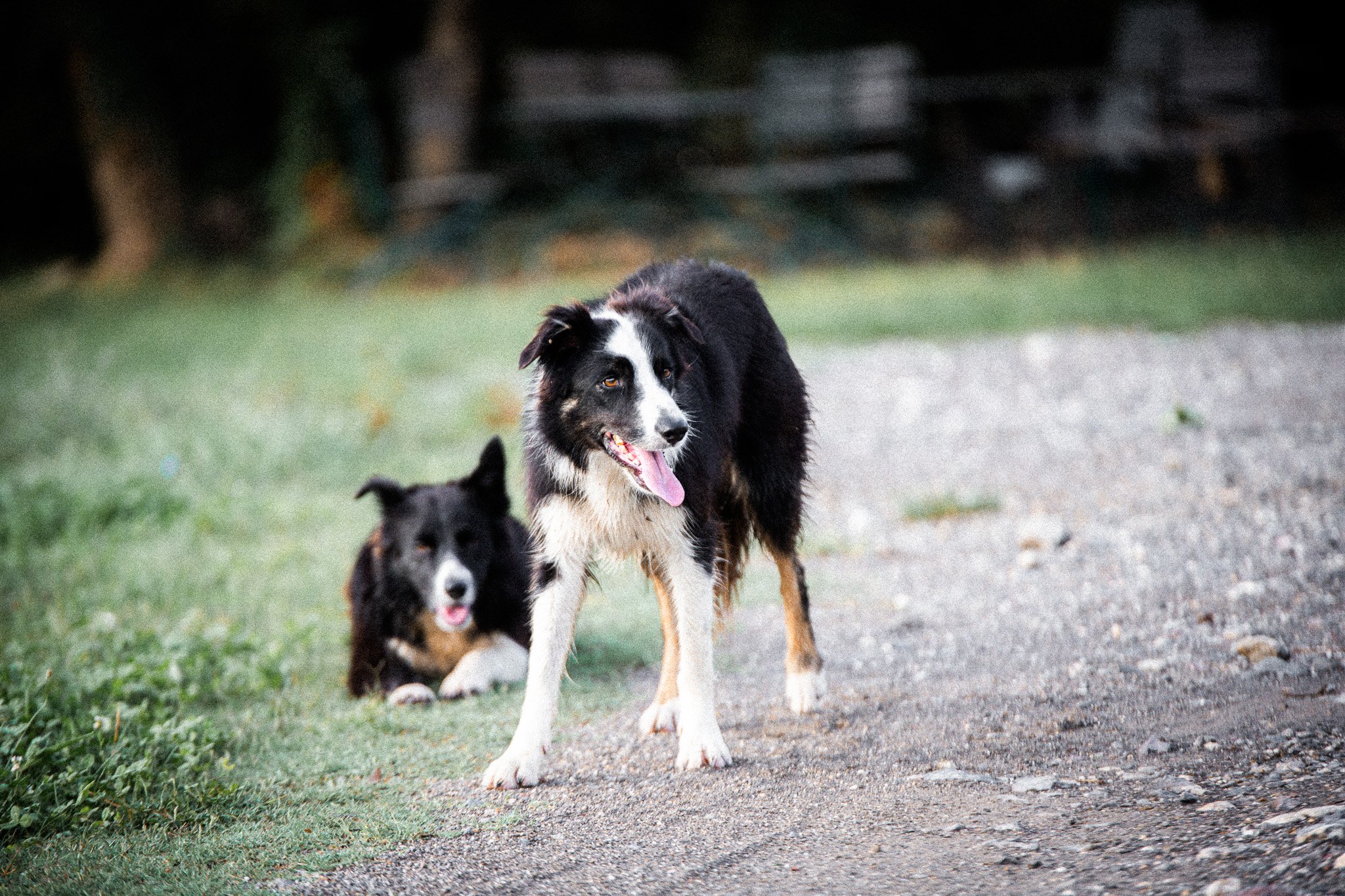 DSC_0696.jpg