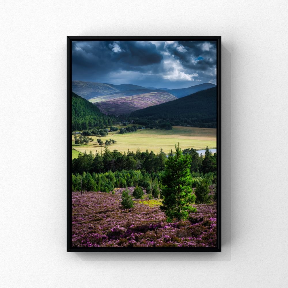 Print Mockups.jpg