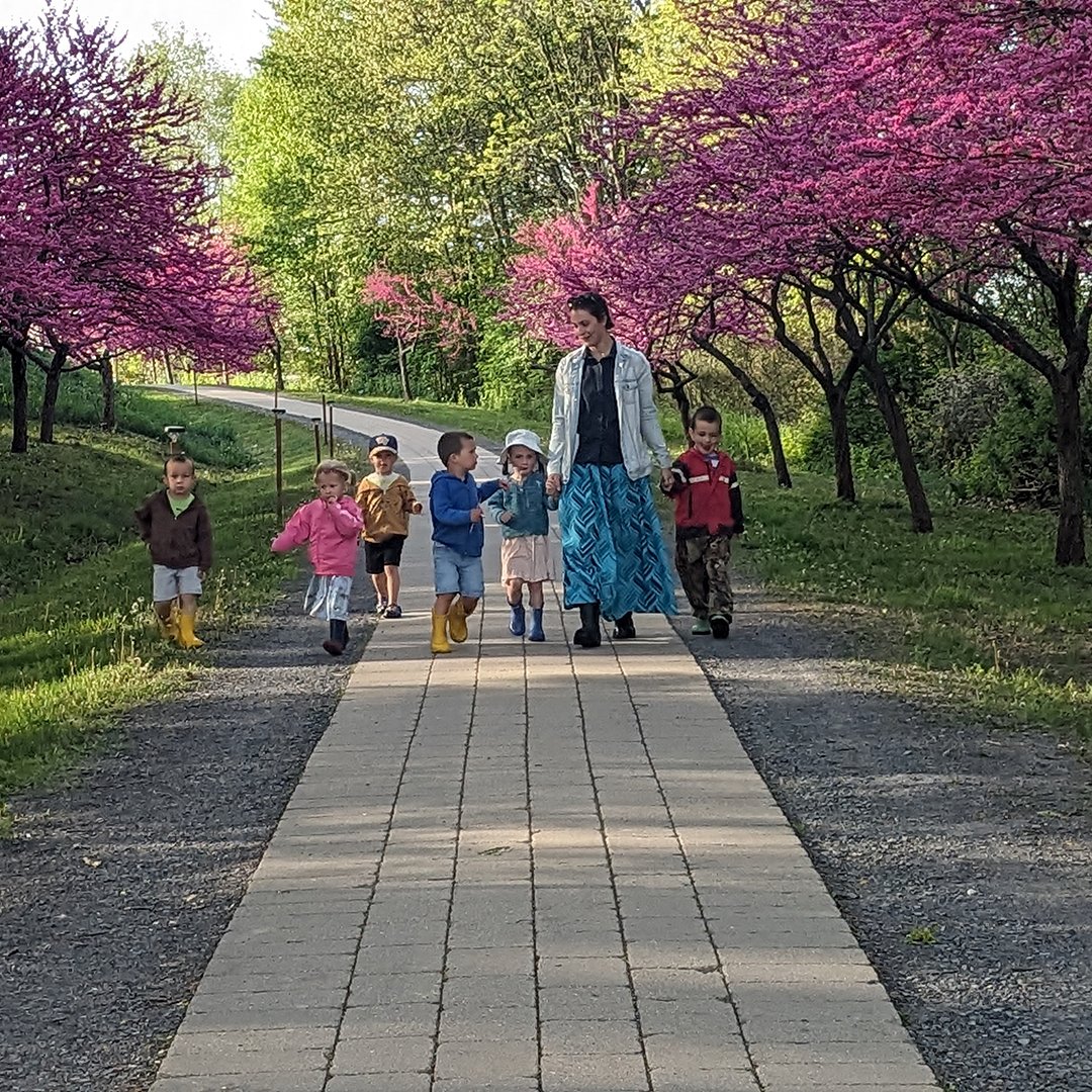 A gorgeous morning for a stroll with the four-year-olds in Fox Hill with the cherry trees in bloom.