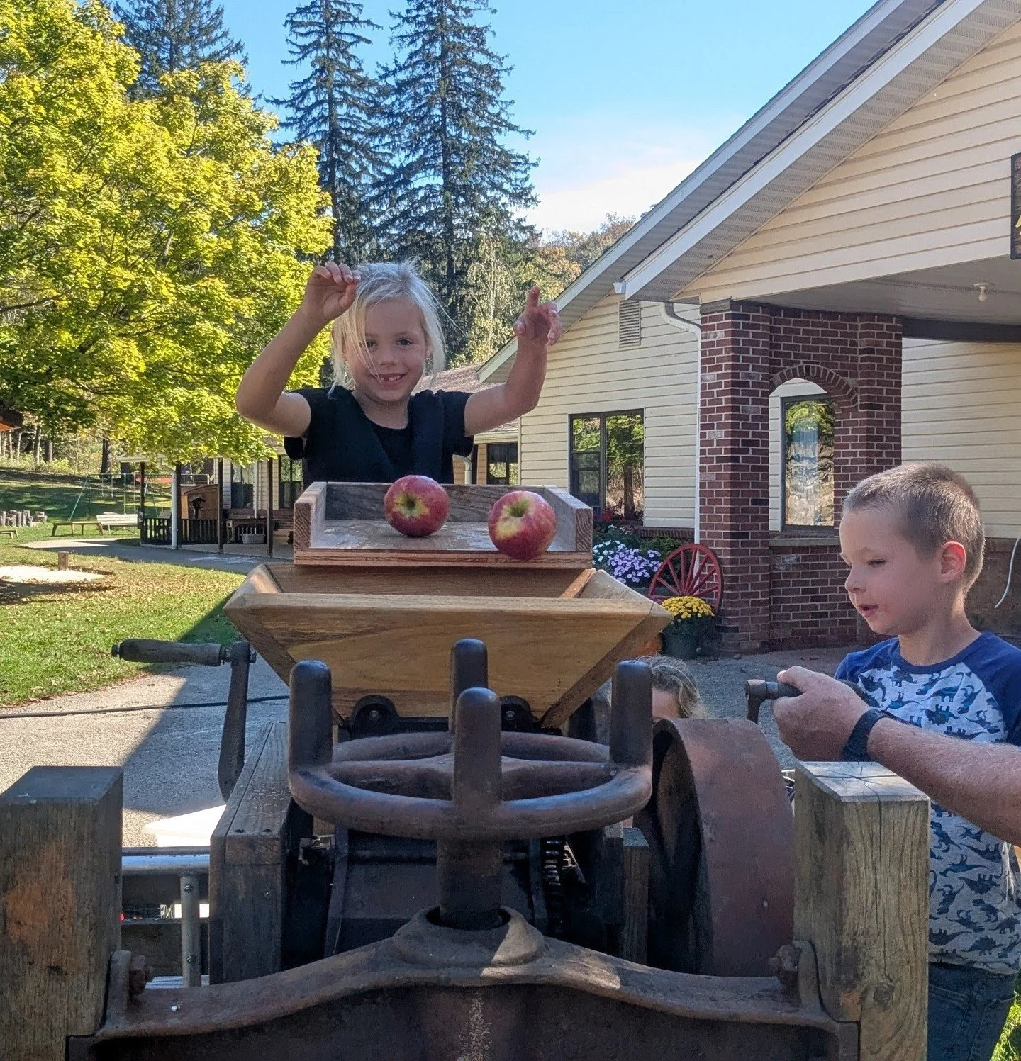 Pressing apples for juice.