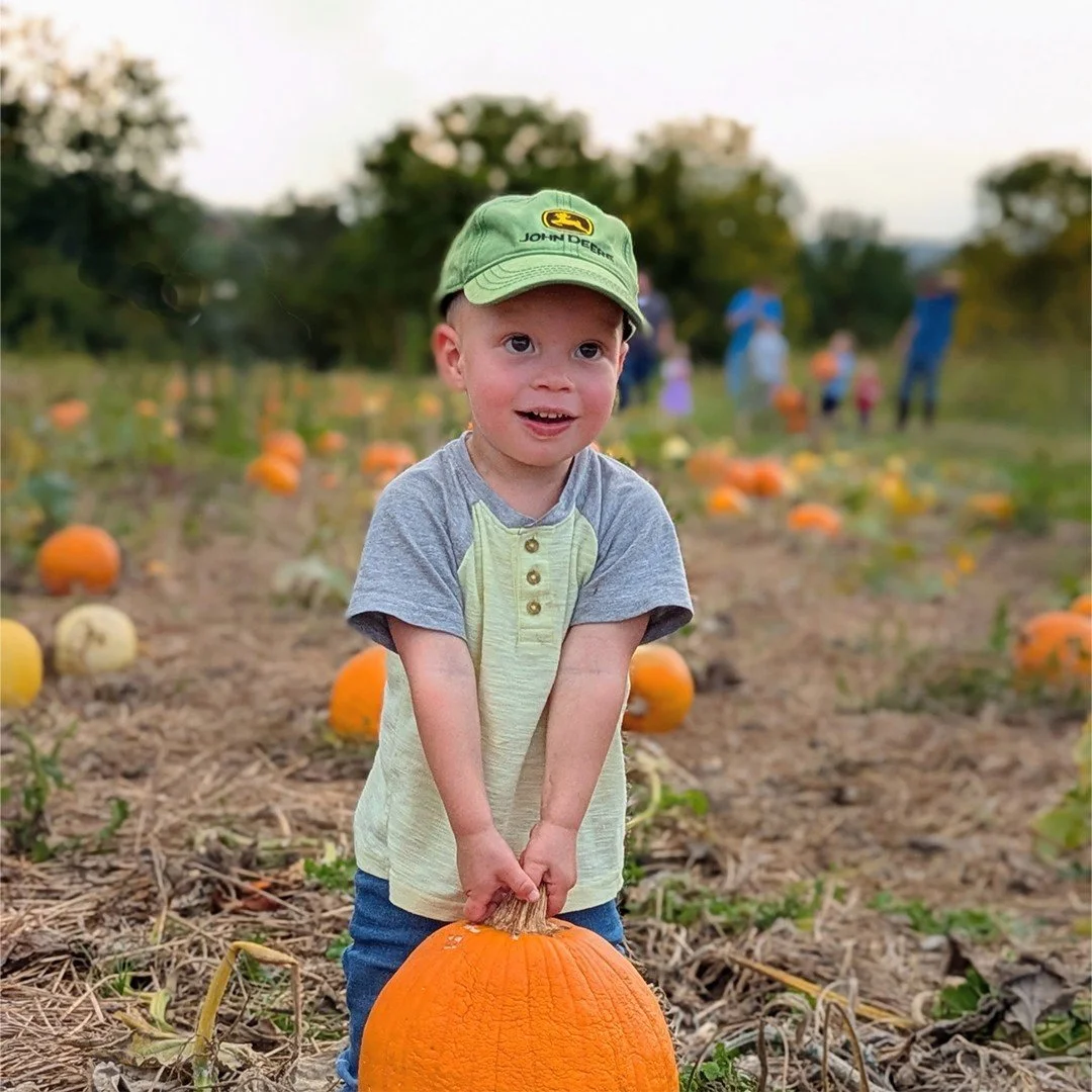 Annual pumpkin harvest and hayrides
