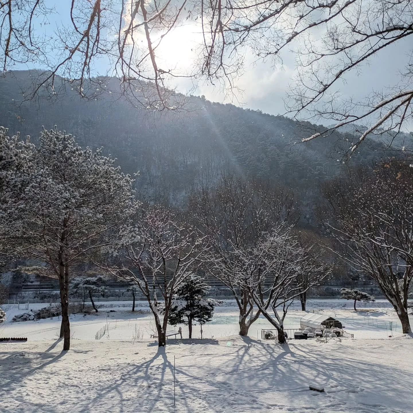 이 겨울 어떻게 지내세요?