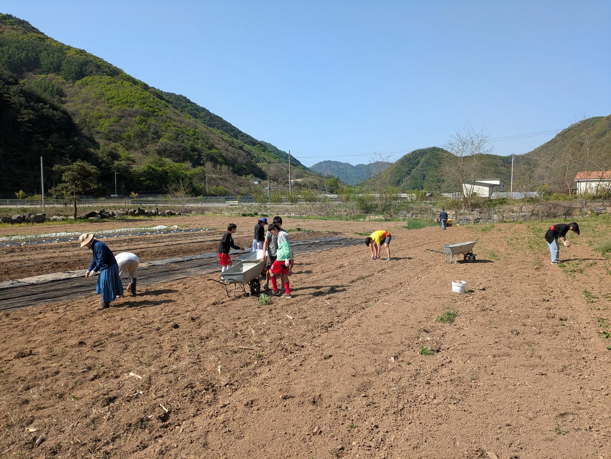 농사는 발자국 소리를 듣고 자란다