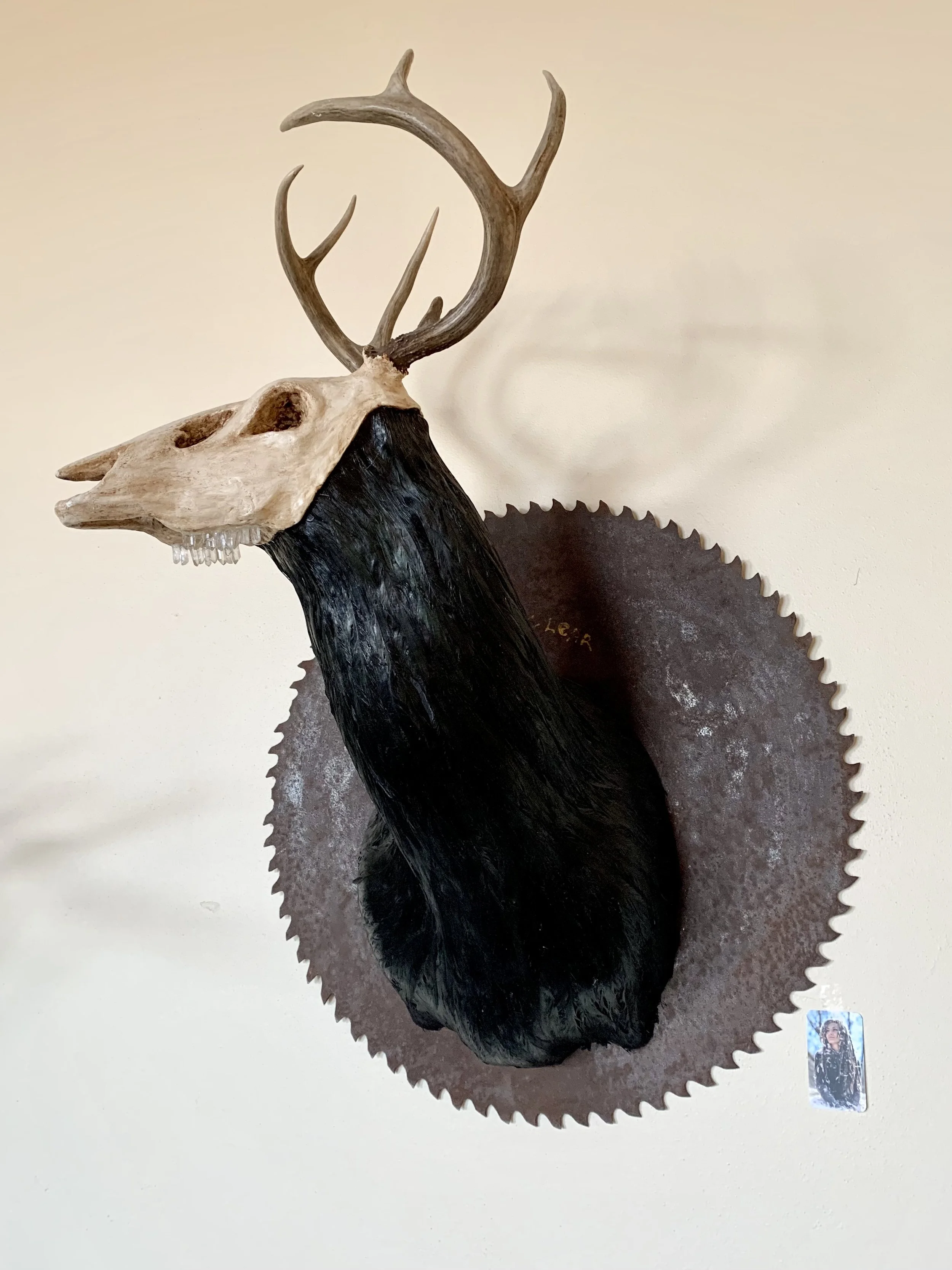 A taxidermy deer head with skeletal features and antlers mounted on a circular saw blade.