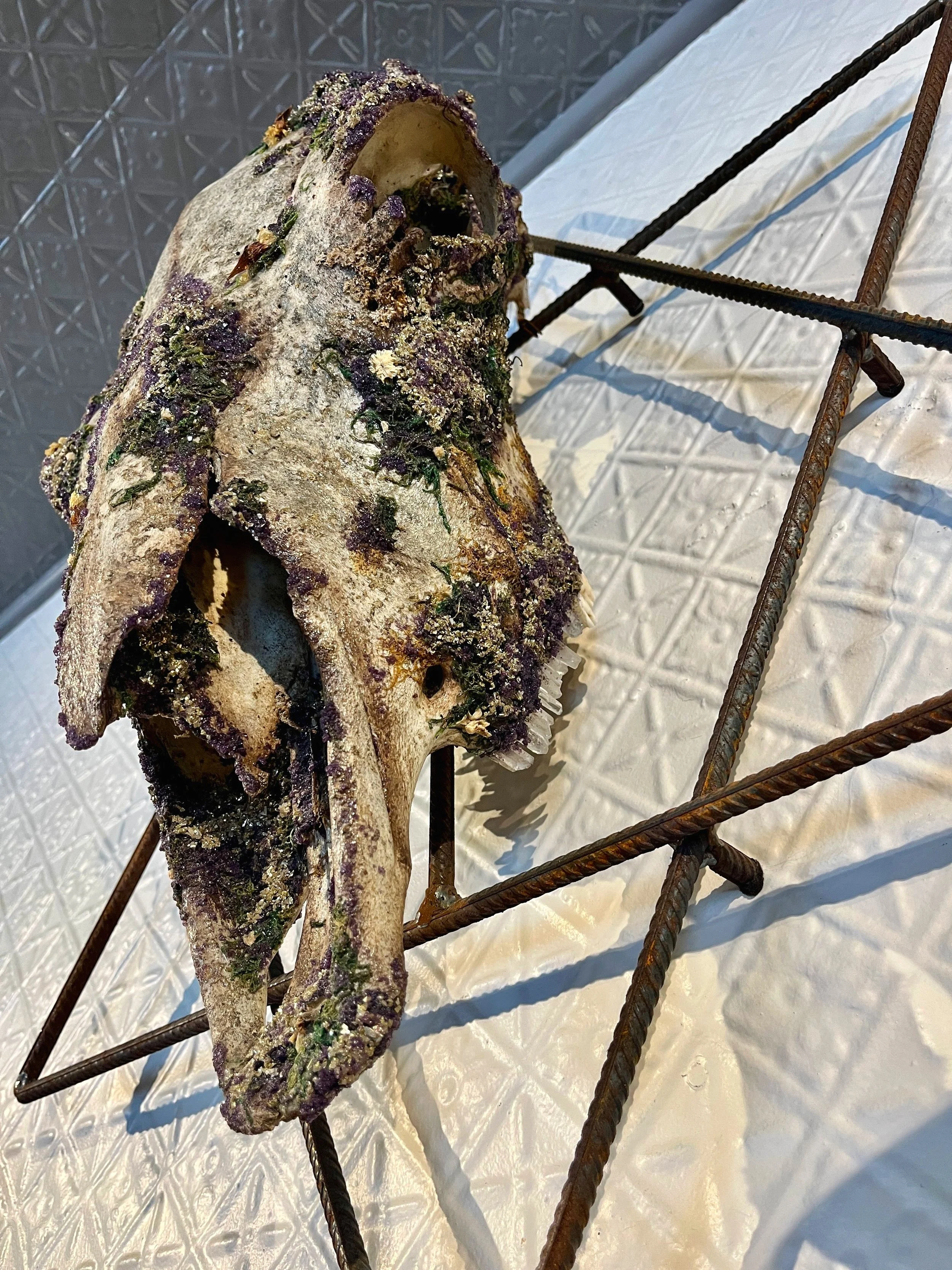 Decorated animal skull with crystals and moss on metal frame