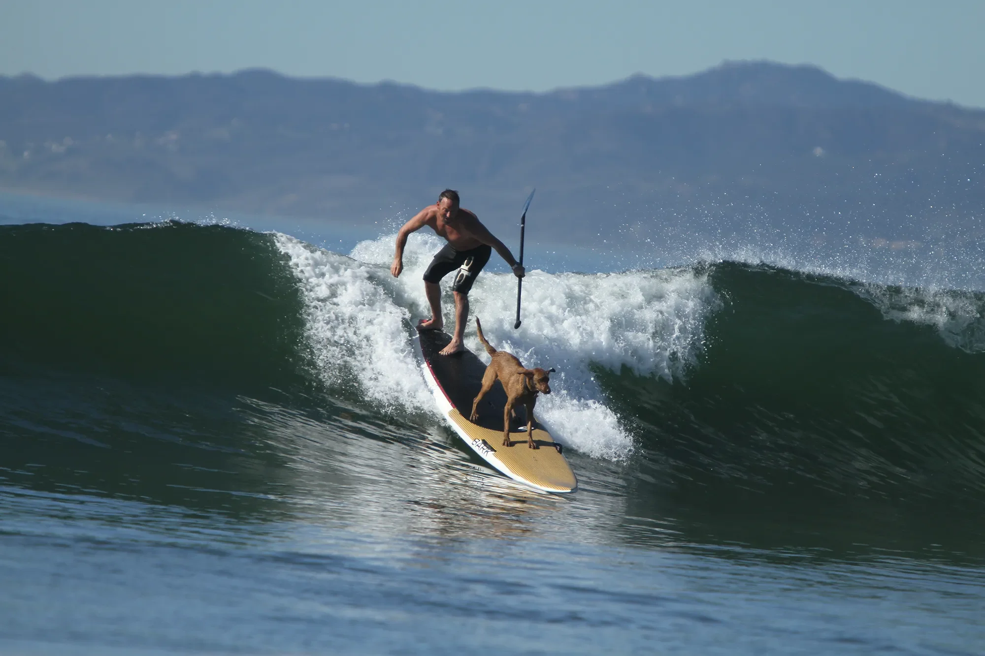 Incredible photo of Mike Vaughan, founder of Pro SUP Shop, surfing with his dog “Tiger” at Venice Beach on a 14’ BARK Expedition Taken on Jan 13, 2013 by Alex Chadwick.