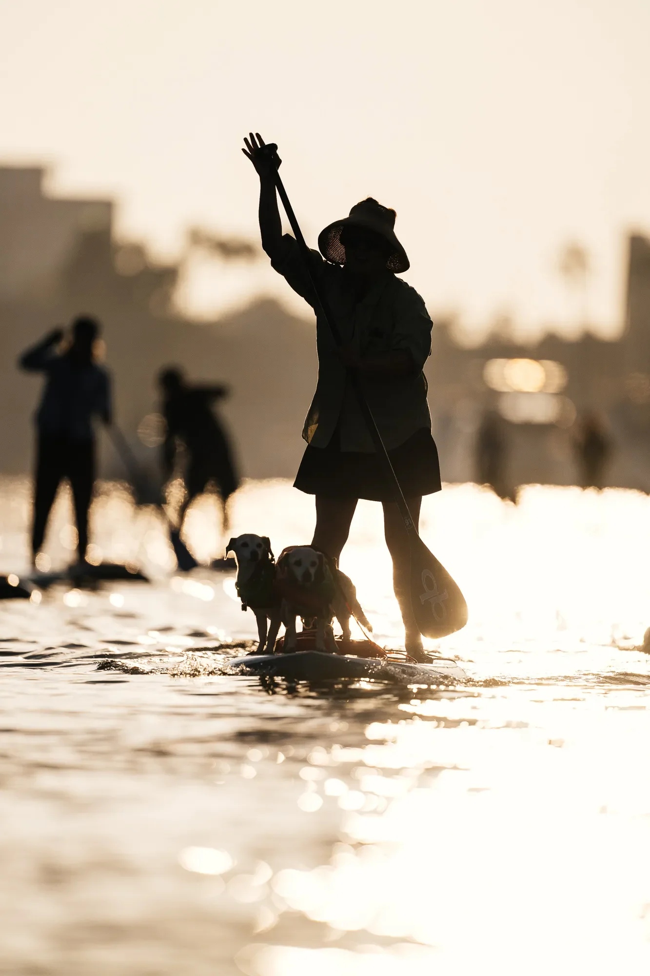 Incredible image of silhouetted @ktownsupdogs at a community sunset paddle in Marina del Rey. Photo taken by Kirill Umrikhin