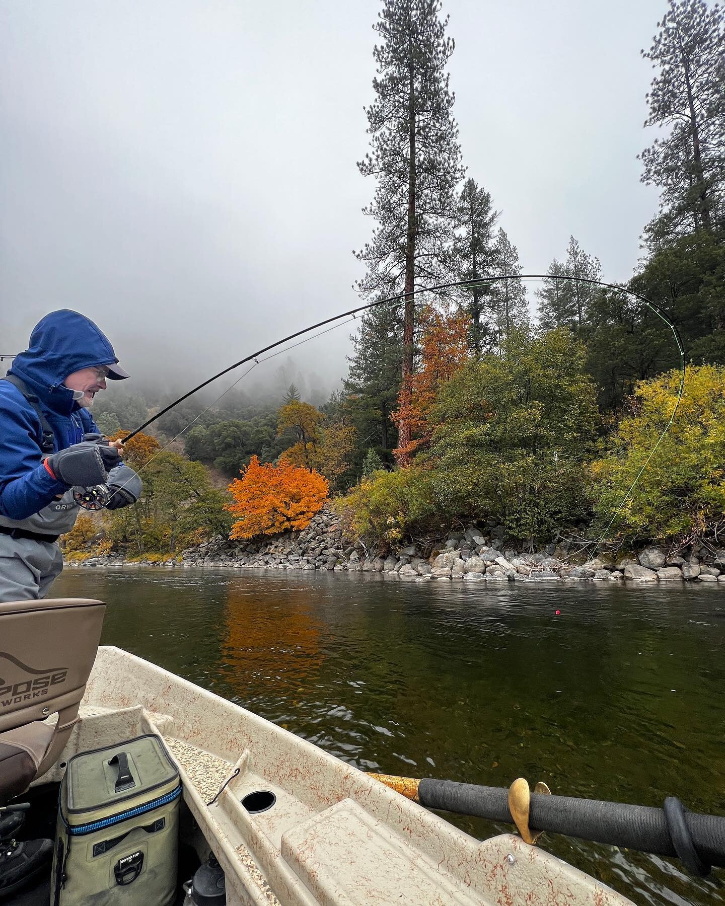 It was a cold 🥶 week on the Trinity River. 

There are some stlhd around&hellip; but you better bring your A-game. Be prepared to fish hard, keep focused, endure, stay positive and embrace AND enjoy the process. 😉

Isn&rsquo;t this always the case 