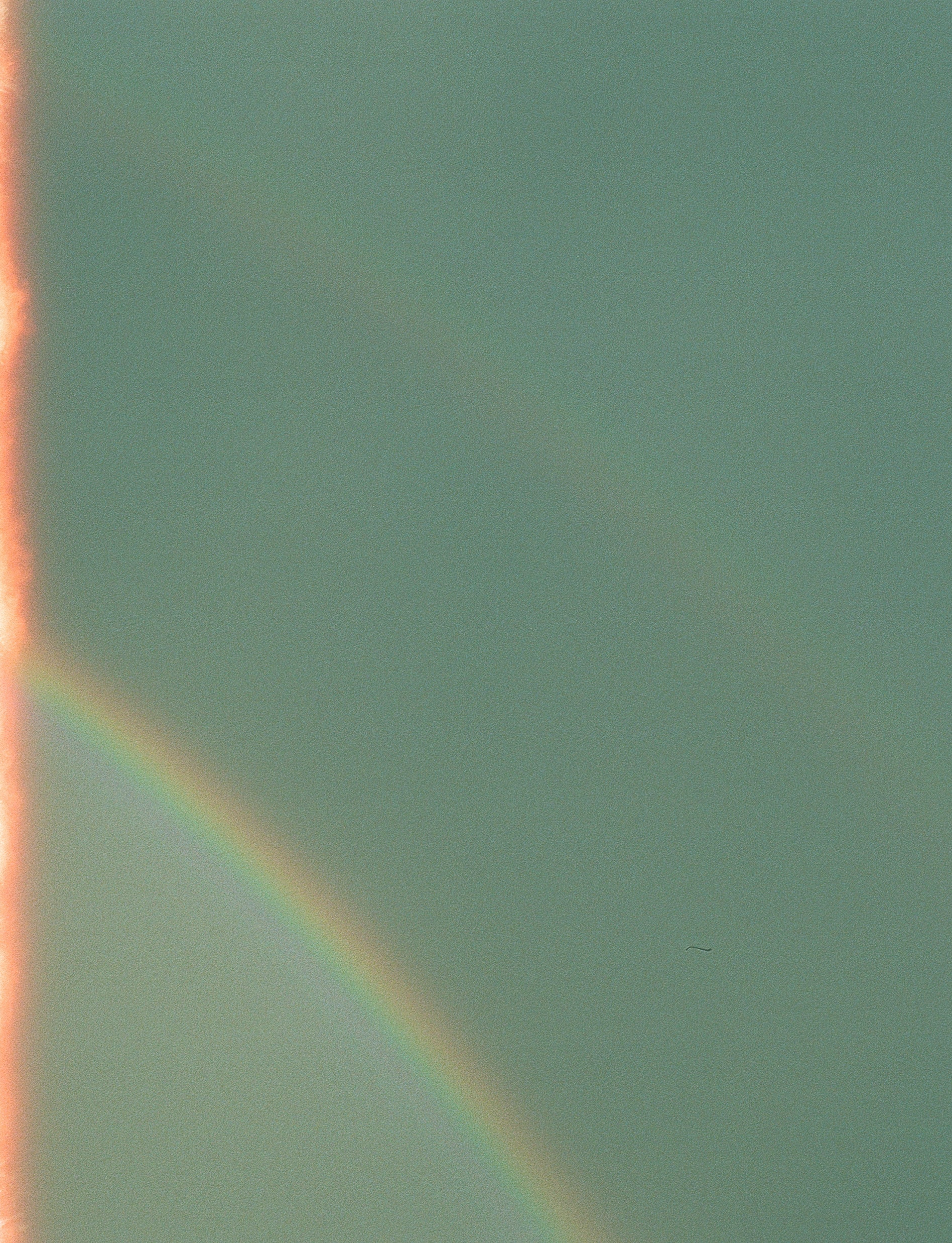 flare-cypress.png