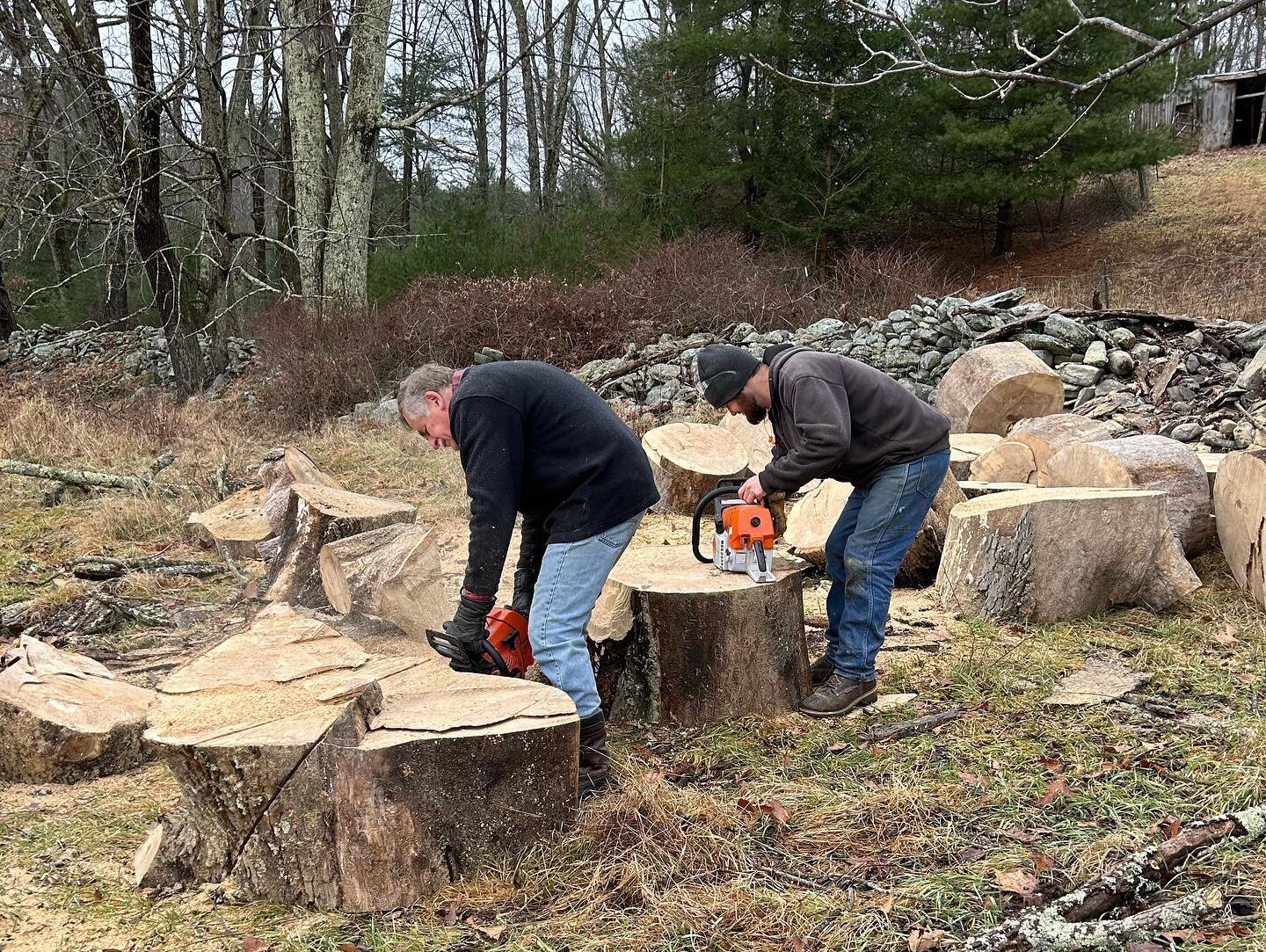 Another great weekend at @campdeerpark cutting firewood!