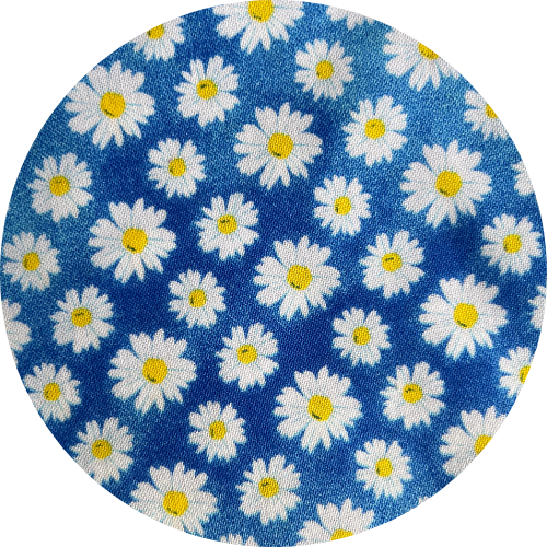 Blue Daisy