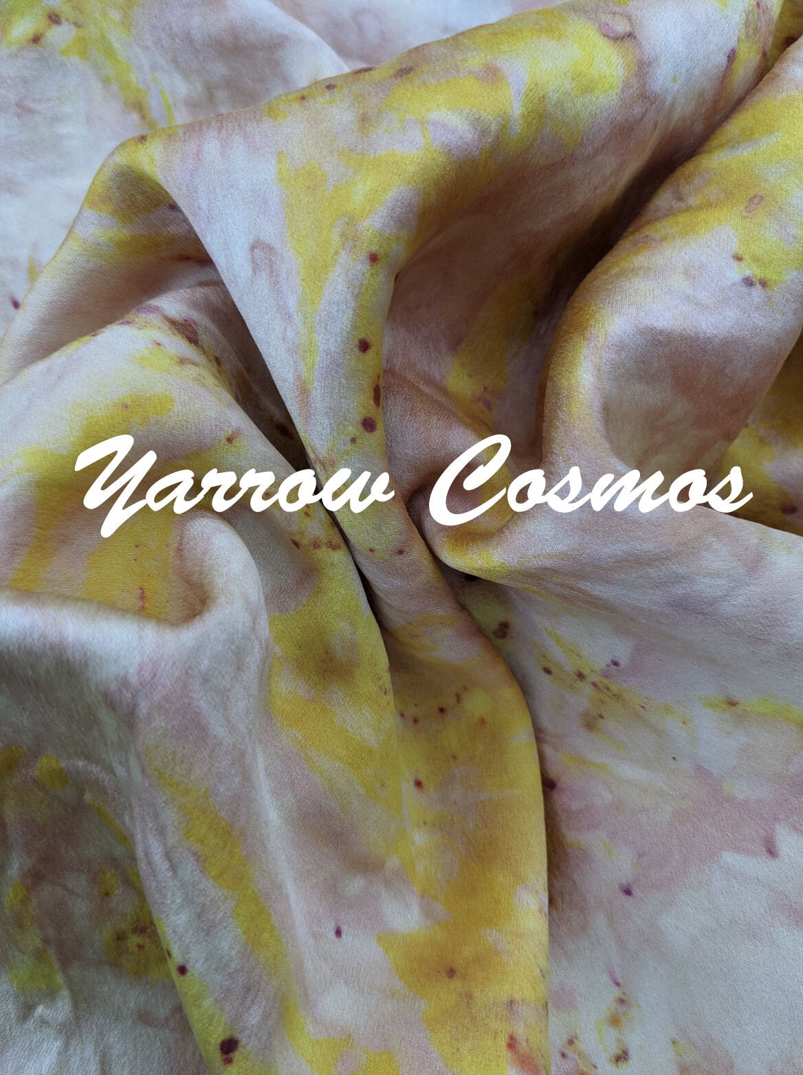 YarrowCosmos.jpeg