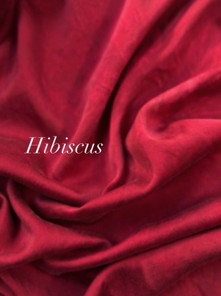 hibiscus.jpg