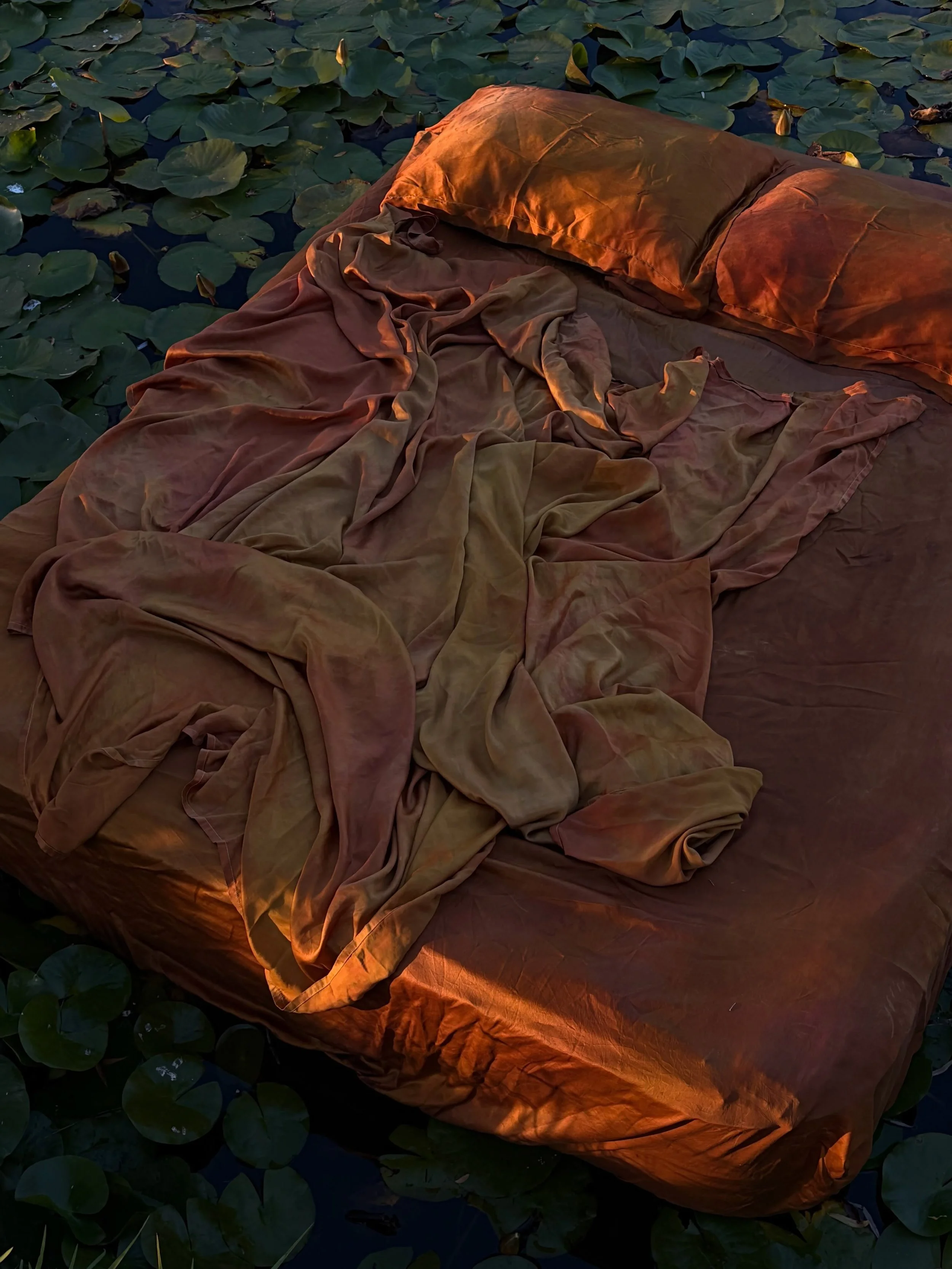 &lsquo;August of another summer, and once again I&rsquo;m drinking the sun and the lilies again are spread across the water. I know what they want is to touch each other.&rsquo;
~Mary Oliver 

I got to see the Mary Oliver documentary playing at our l