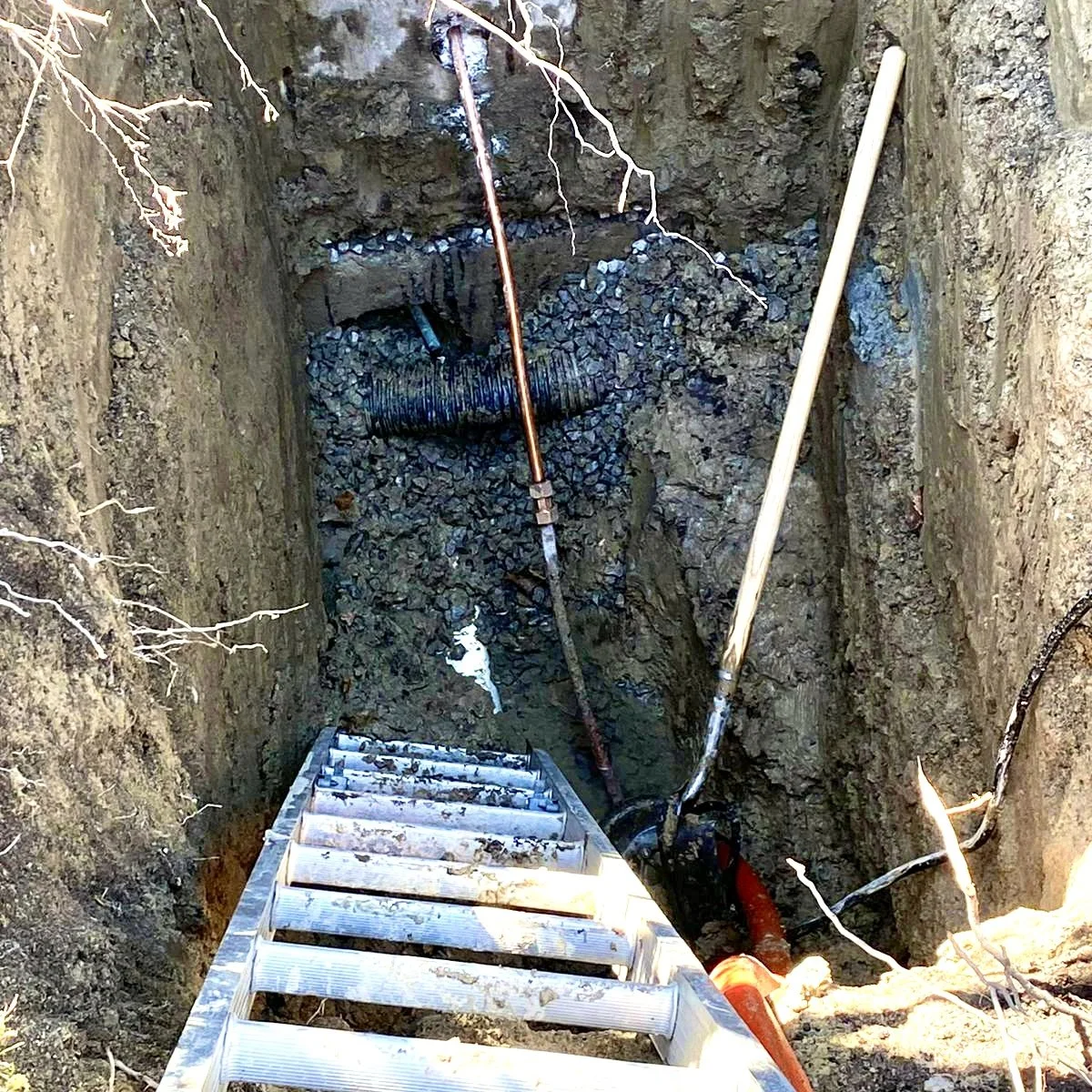 02835d80-8b98-4bde-a553-2a603d45b082 2.jpg