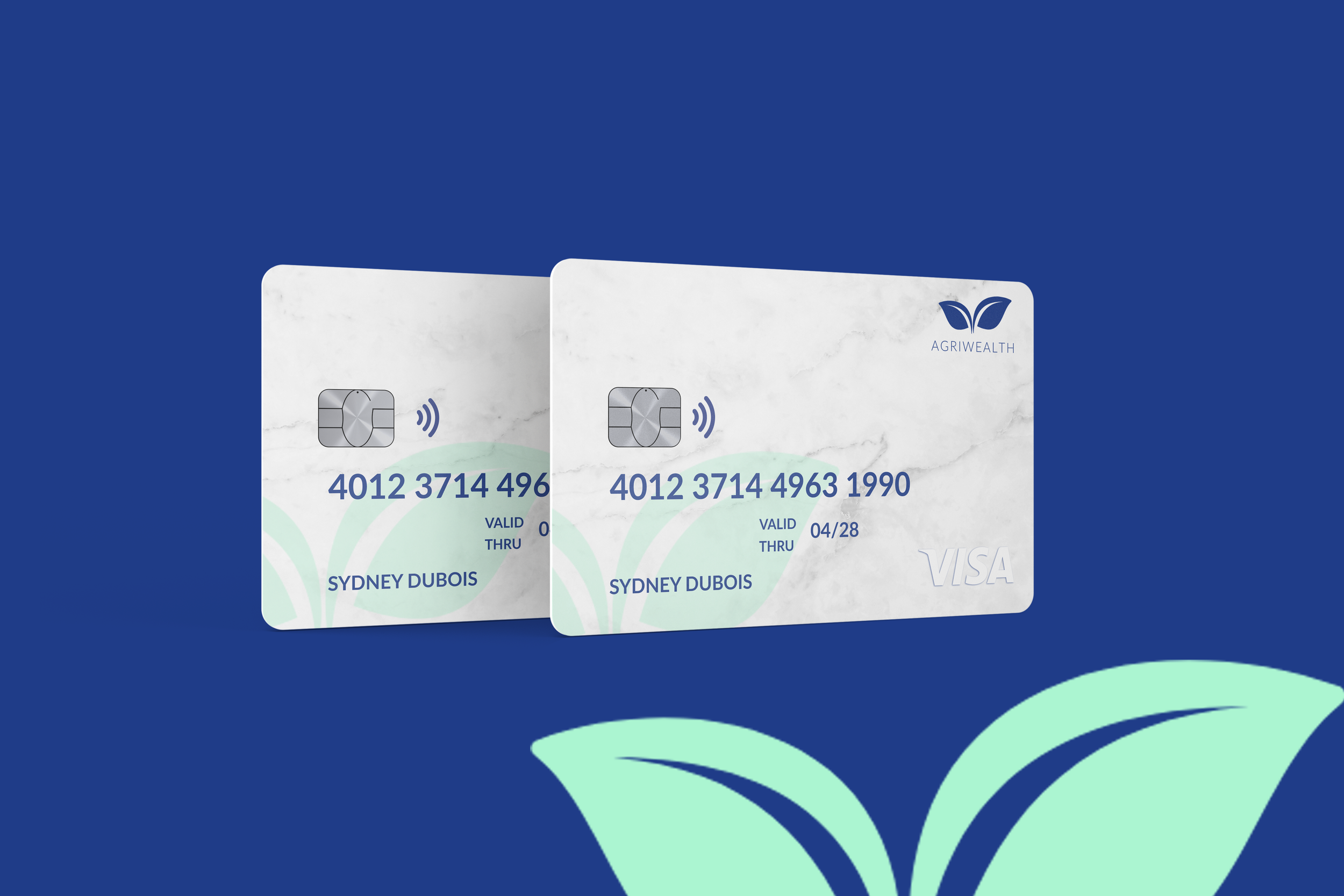 Eco Friendly Debit Card.png