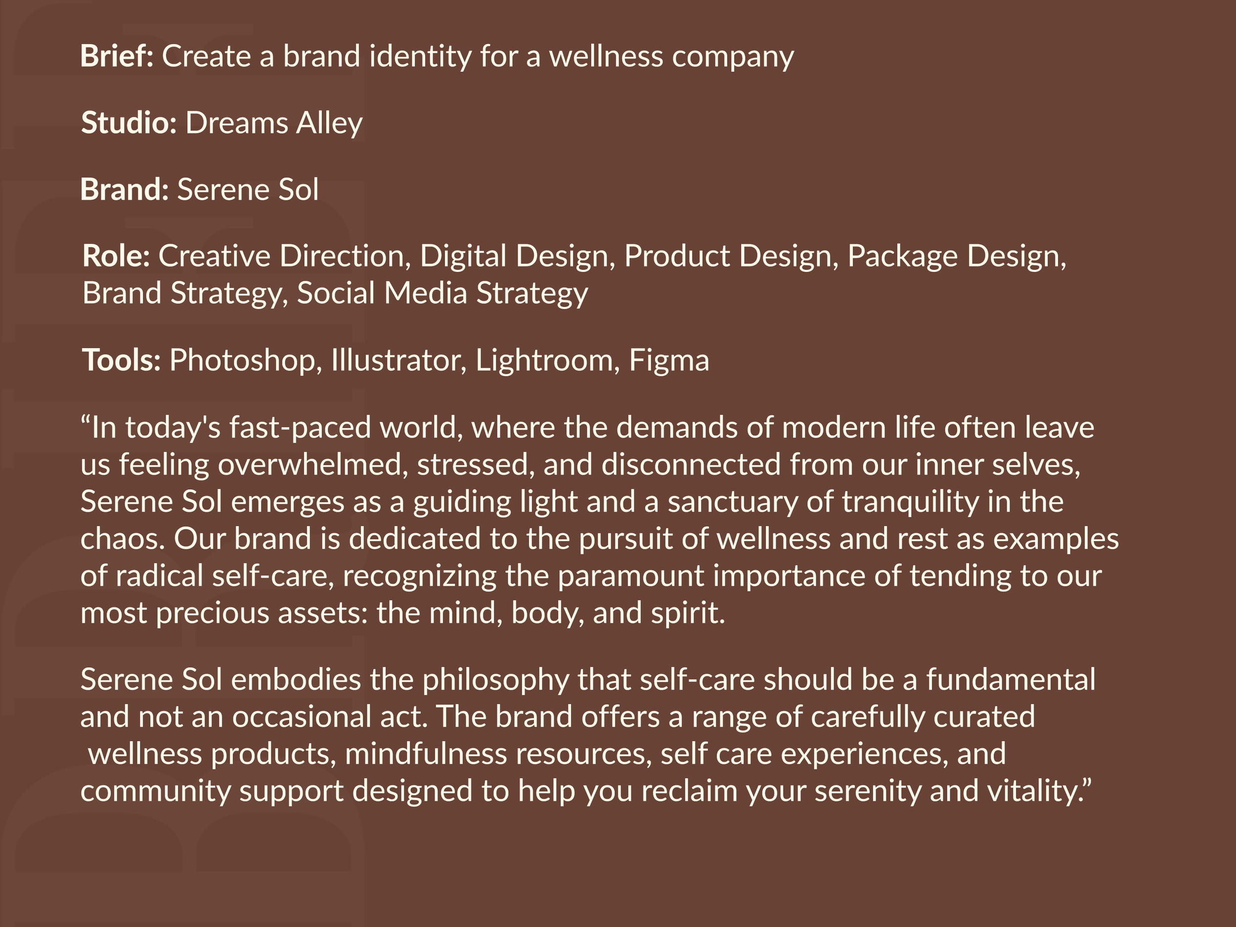 Serene Sol Brief_v2.png