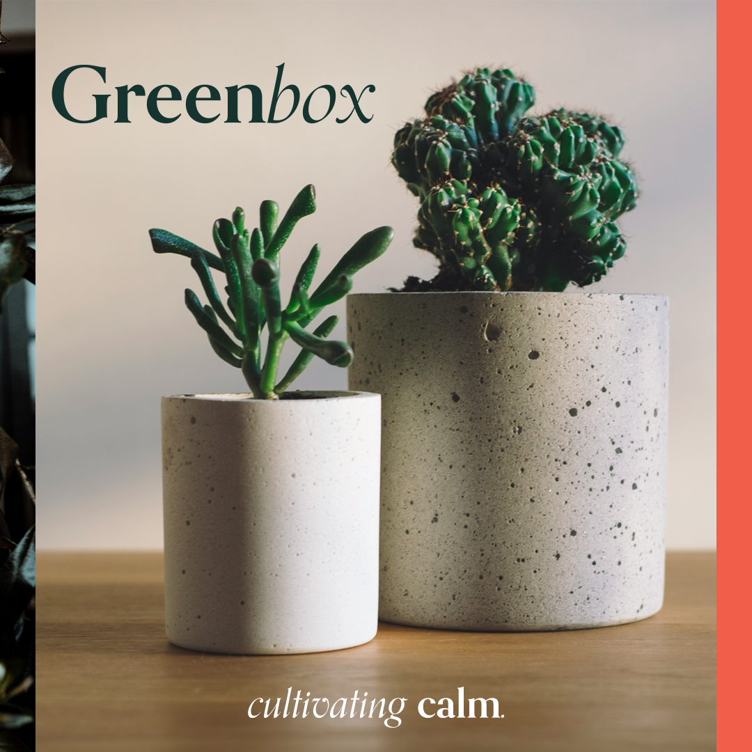 Greenbox Promo 2.png