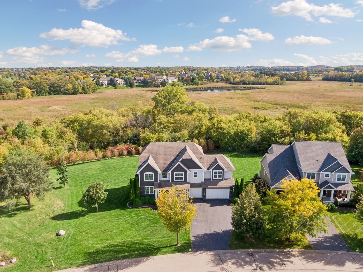 Aerial view of a Victoria neighborhood backing up to open wetland and a pond