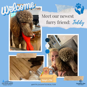 Introducing Our New Furry Friend!