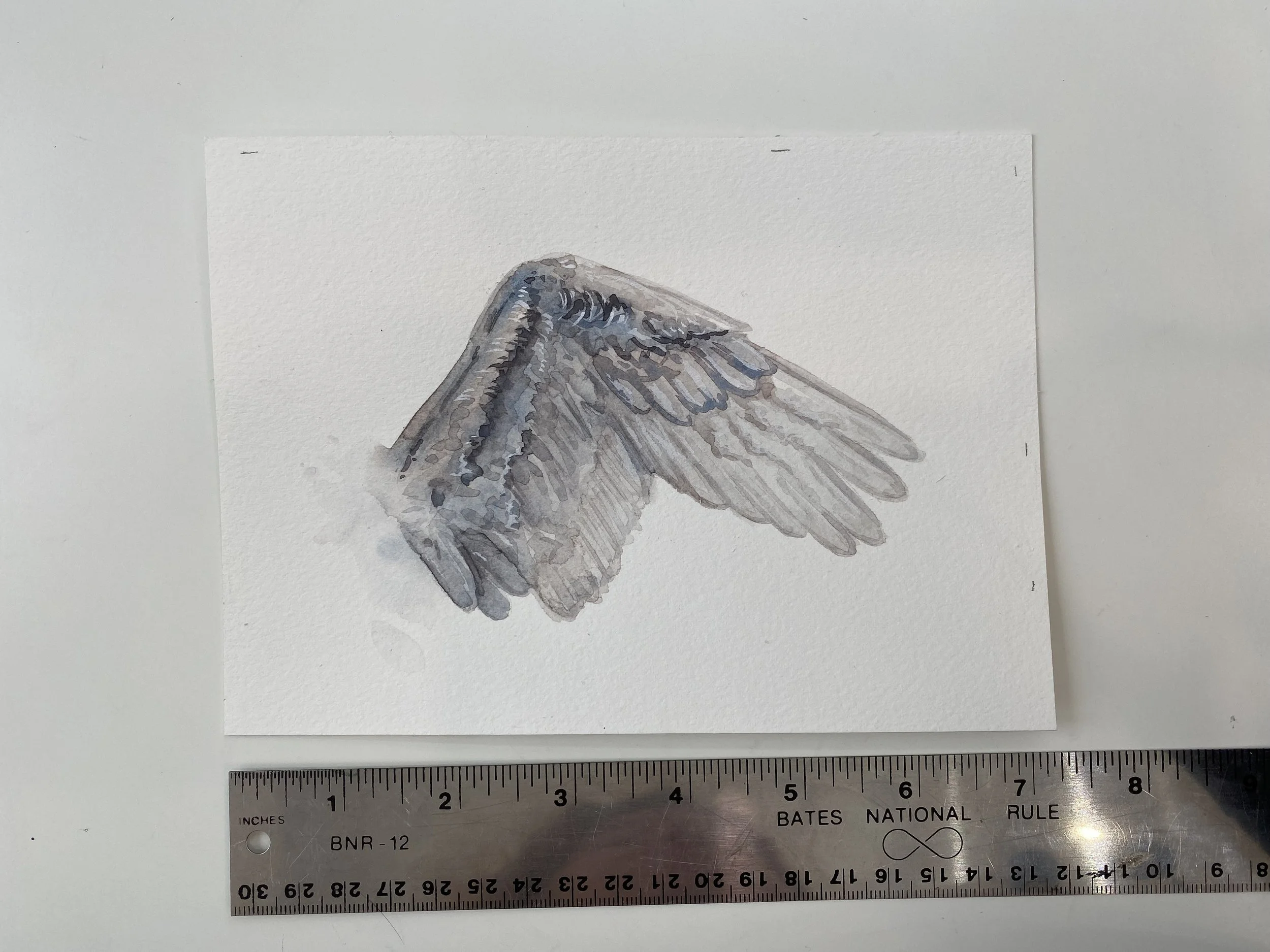 PRINT and Hunt Athalar wings / Crescent City hoeab hosab / Malakim