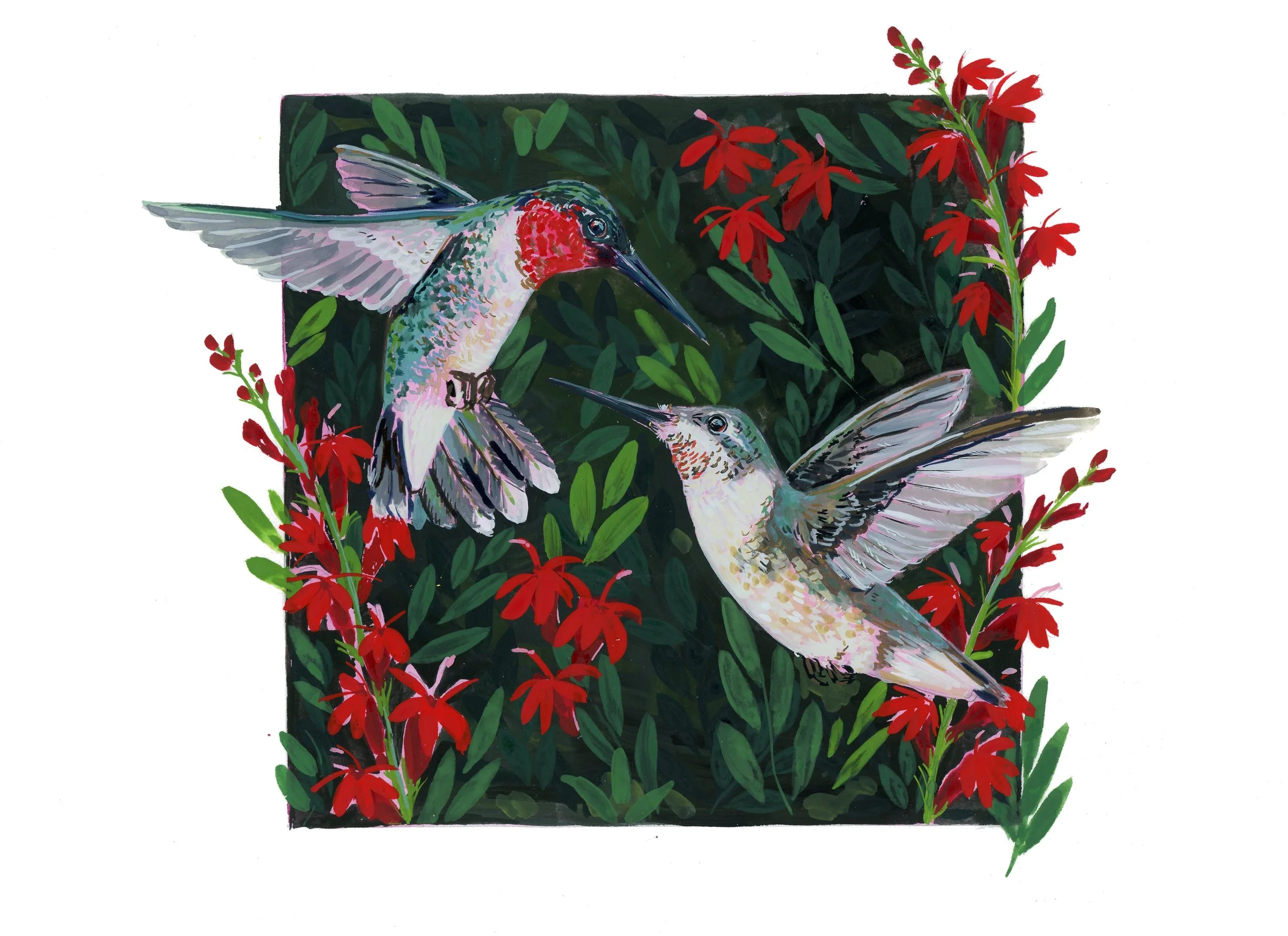gouachehummingbird220.jpg