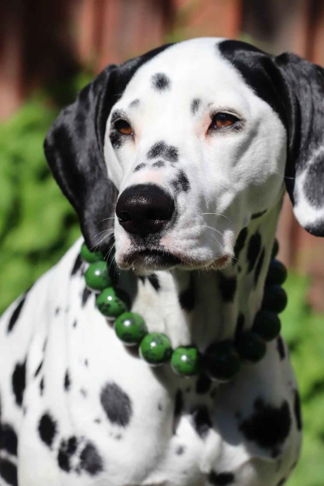 Handpainted Wood bead decorative collars