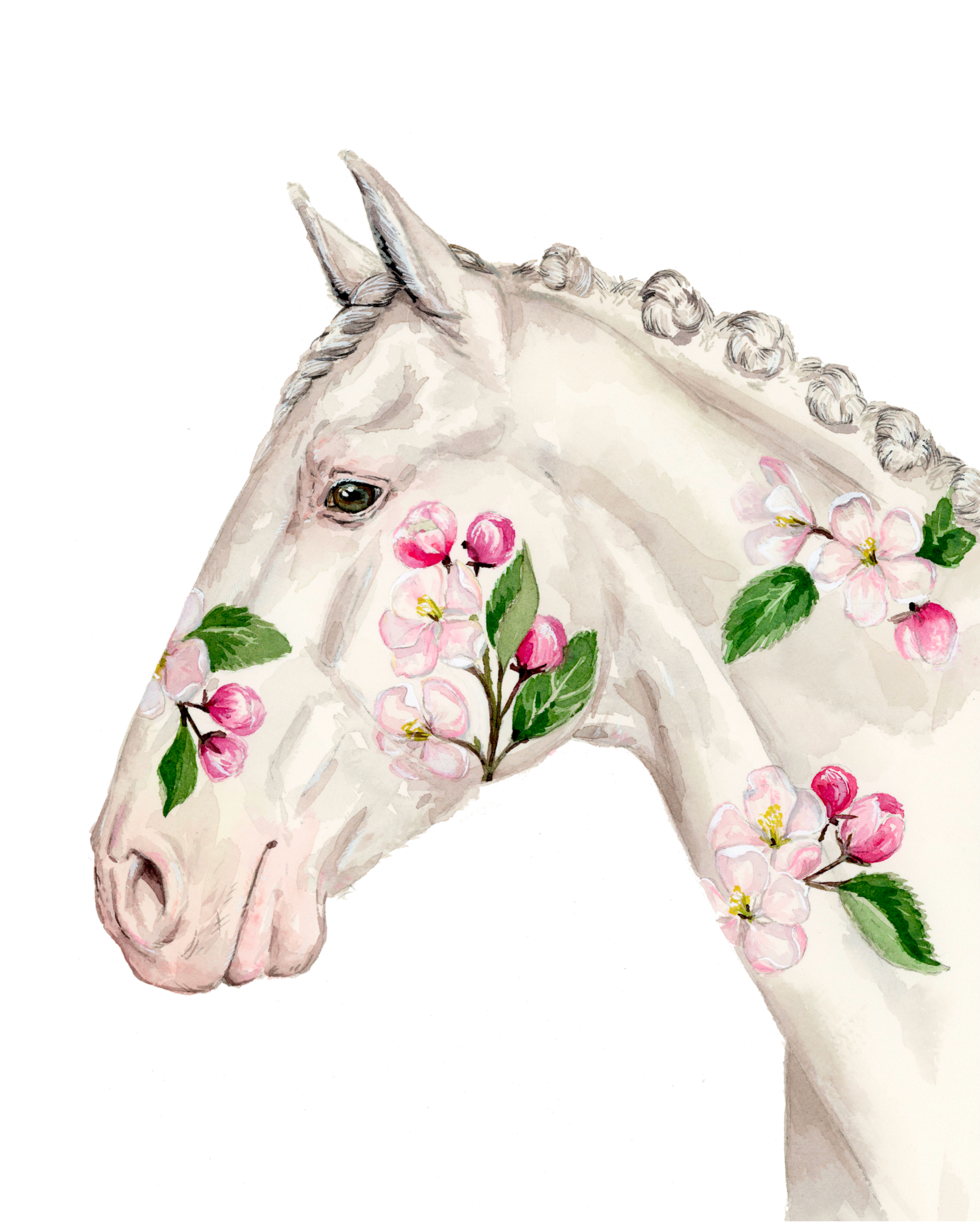 Floral Horses