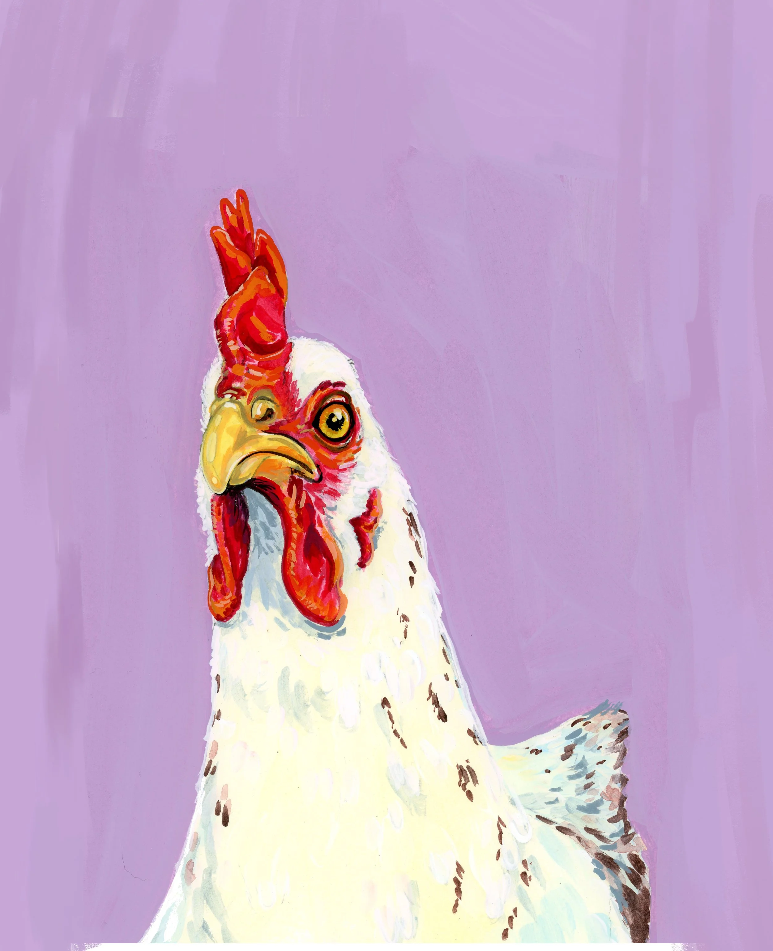 chicken_purple146.jpg