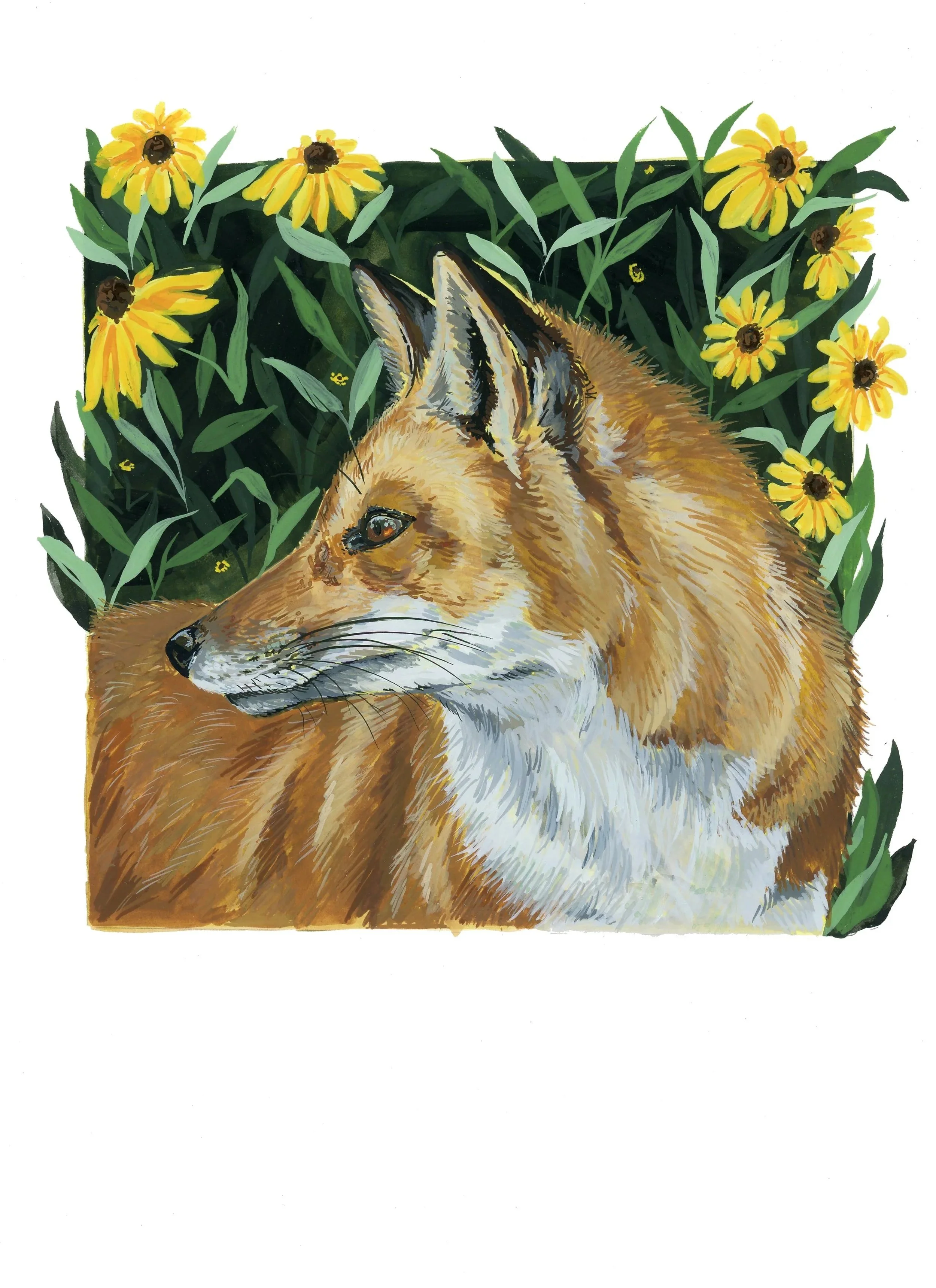gouachehefoxsuzan221.jpg