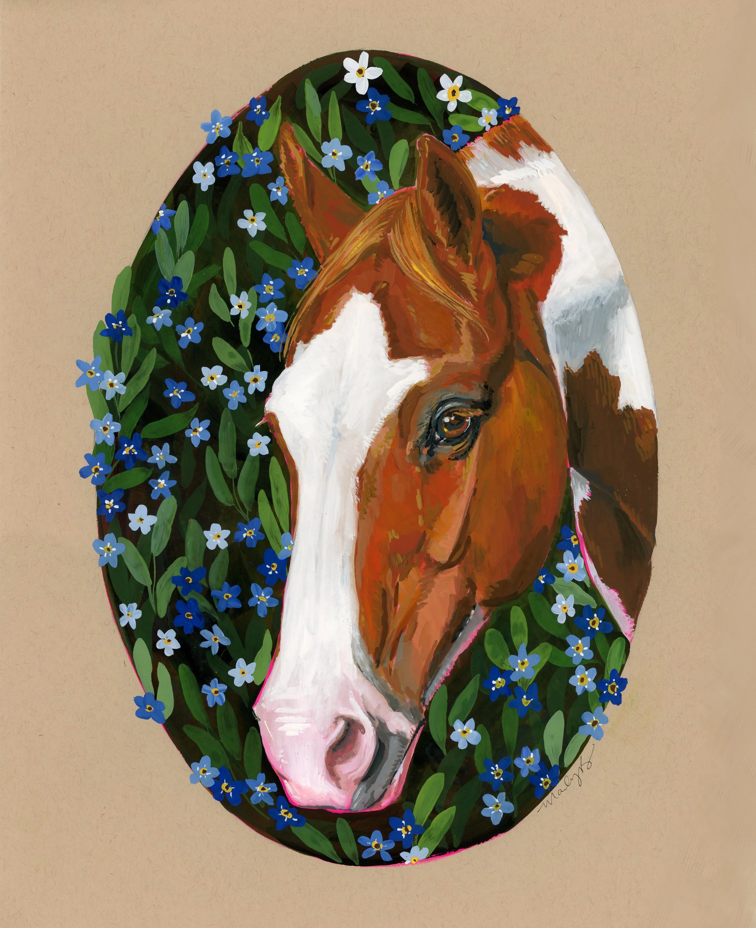 forgetmenotsjoe227.jpg