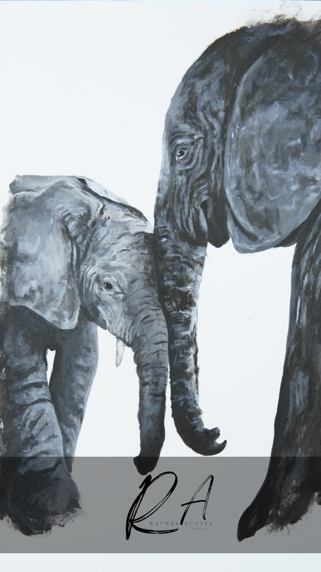 Black and White Elephant Wallpaper