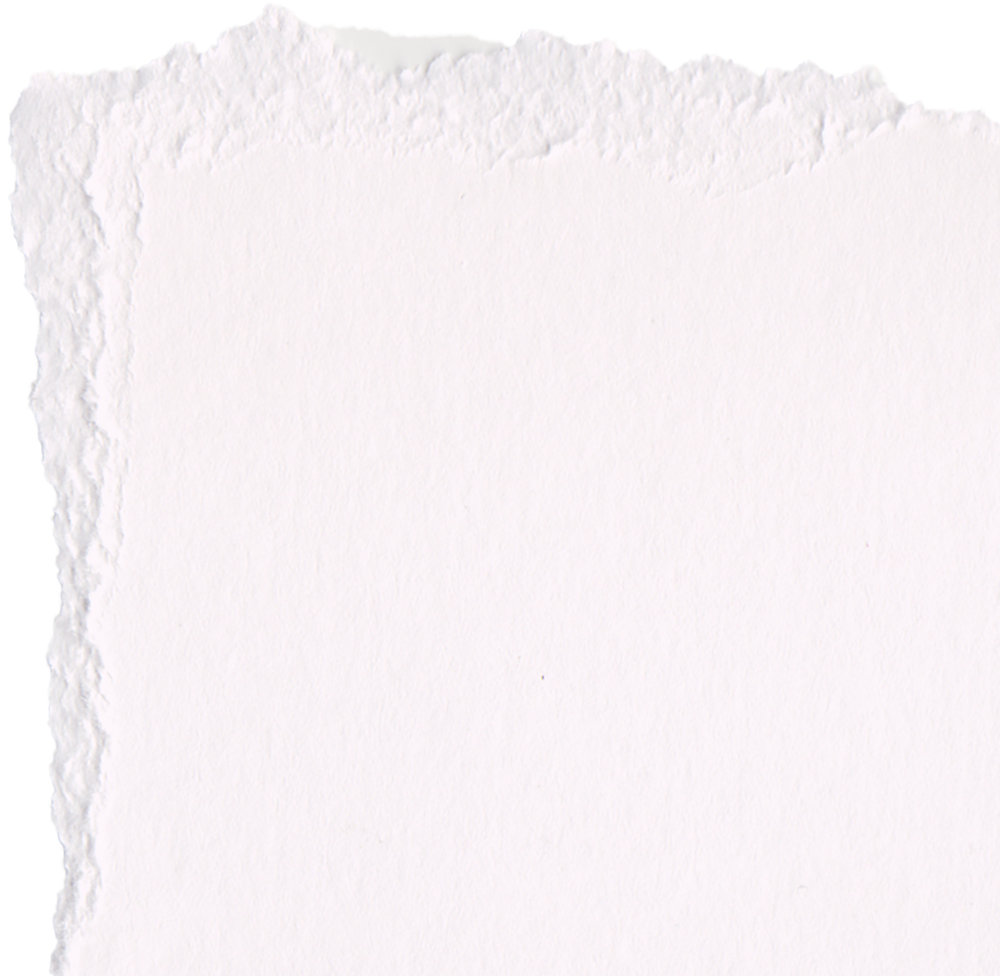 White paper with torn edges