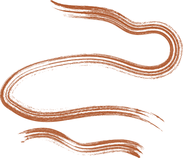 Illustrated, squiggled orange paintstroke