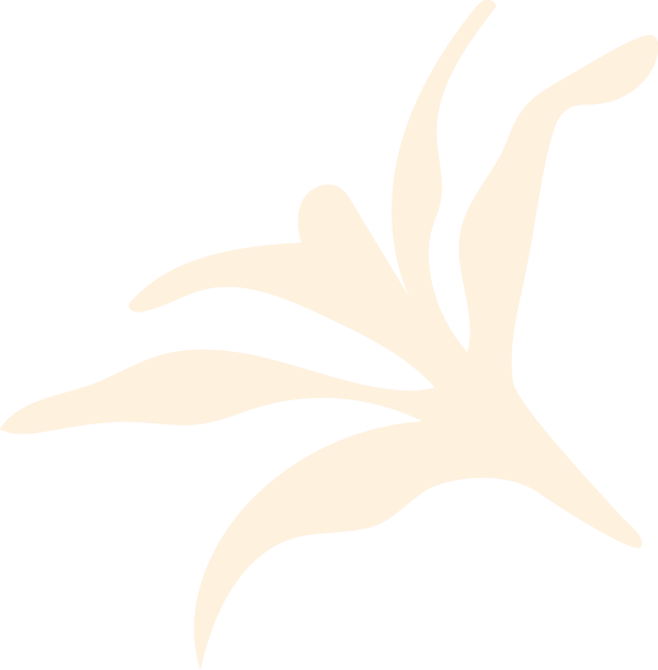 Cream-colored flower illustration