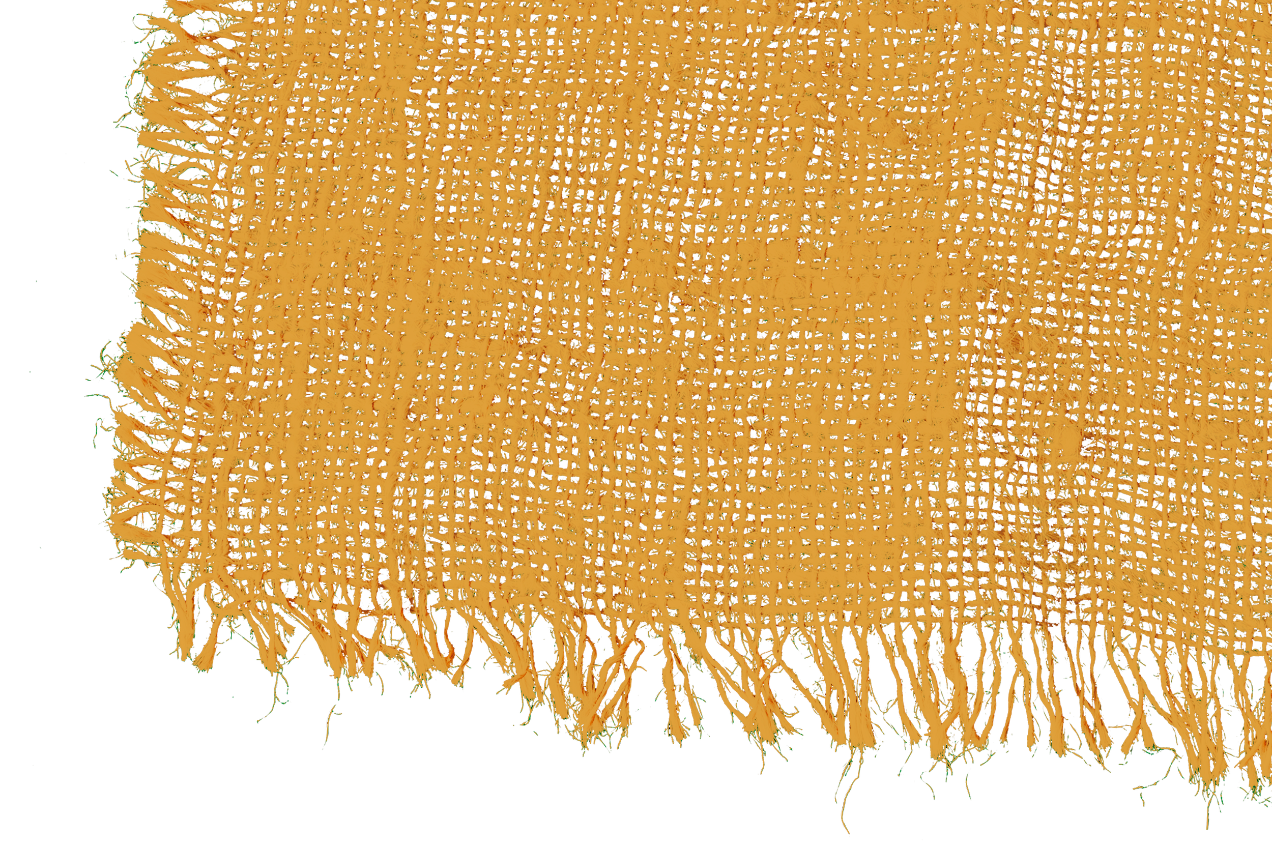 Golden fabric with frayed edges