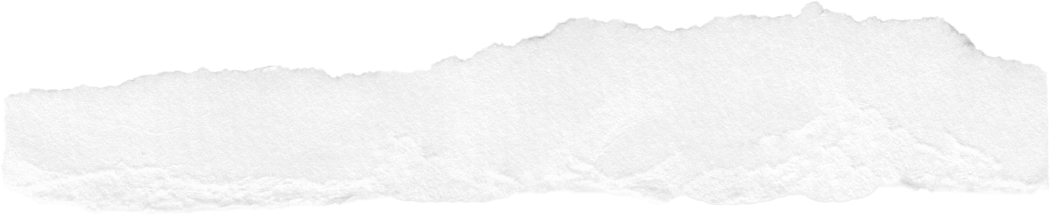 White torn paper to create collage effect
