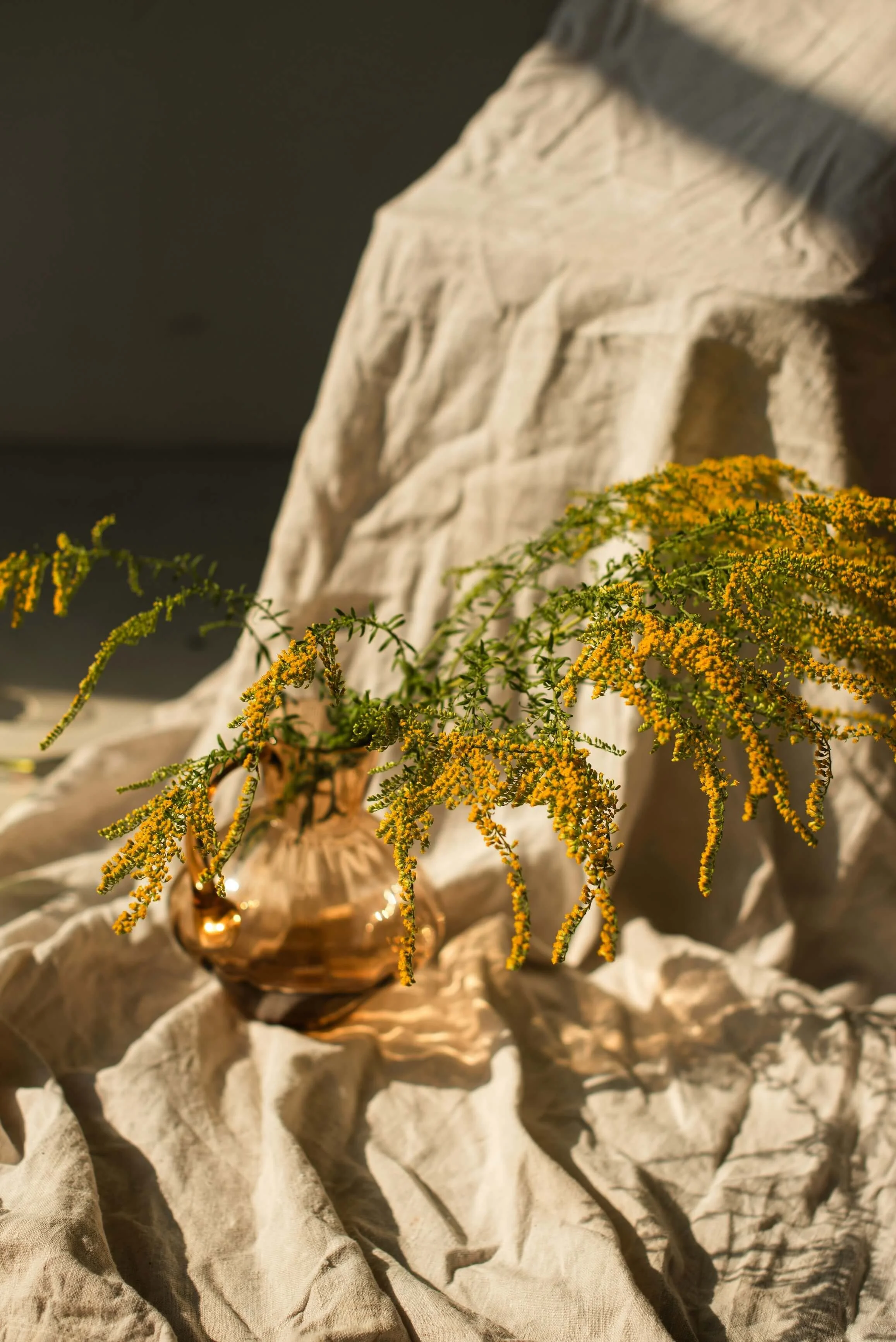 A vase with small yellow flowers sits on a cream tapestry