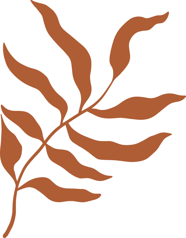 Illustration of a burnt orange plant
