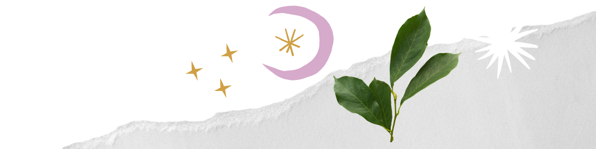 A collage with paper elements, plants, and illustrations