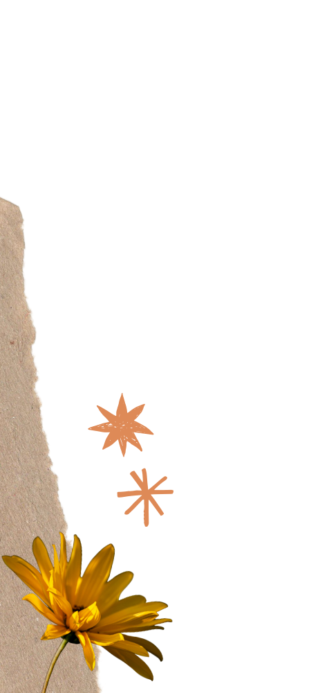 Collage of paper elements, plants, and illustrations - NARM therapist Minnesota