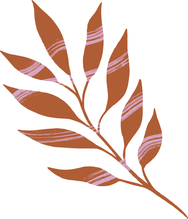 A plant with an orange and pink paintbrush pattern