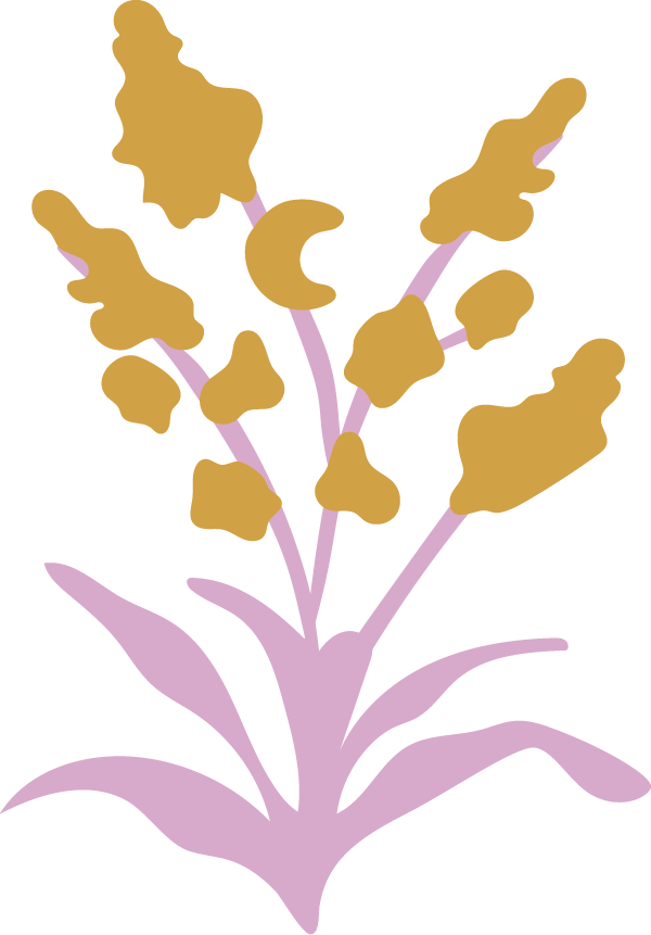 An illustrated plant with golden flowers and pink leaves