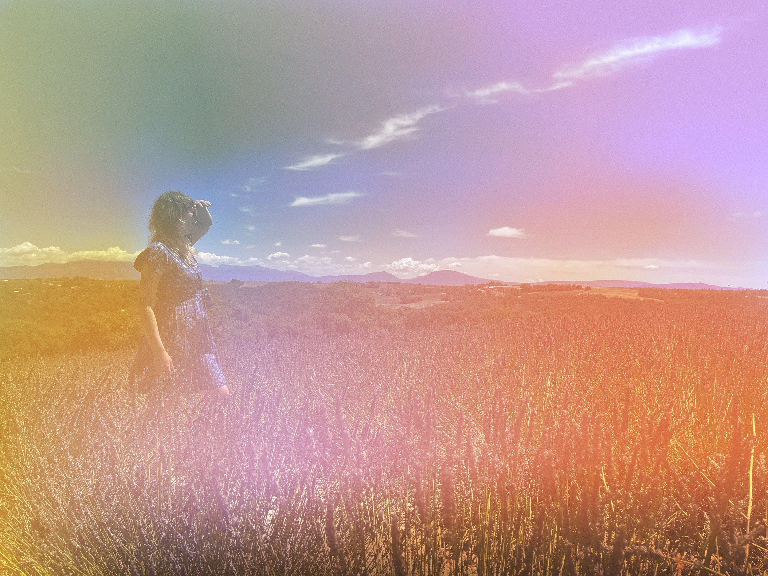 A person walks through a flower field, obscured by a multicolor gradient - Sarah Lazarewicz, somatic therapist and trauma specialist in St Paul MN