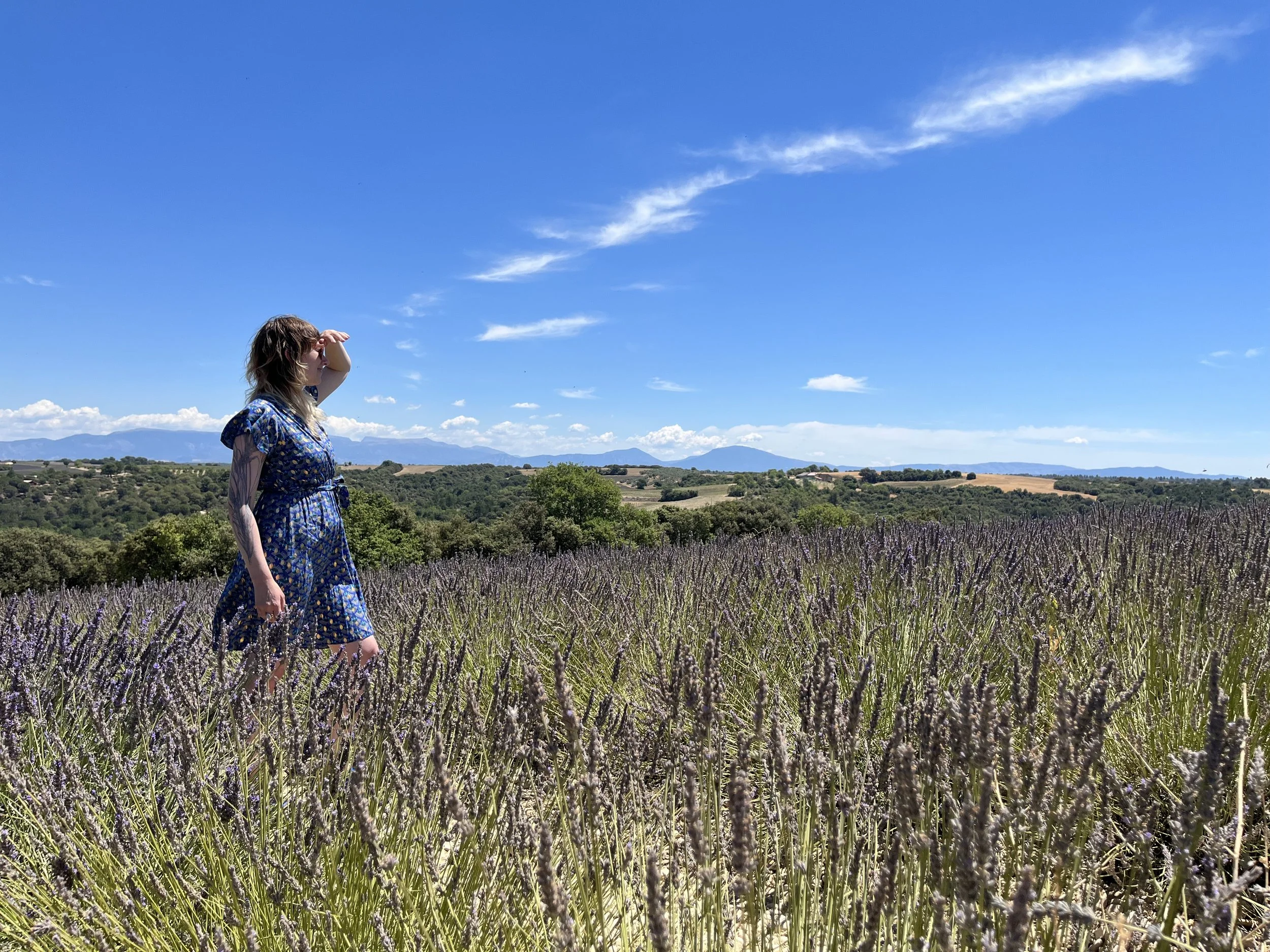 A person standing in a field of lavender looking out at the bright blue sky