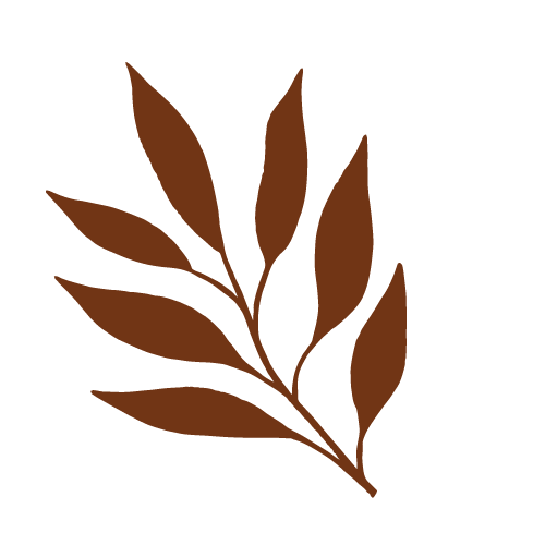 Brown Fern Illustration