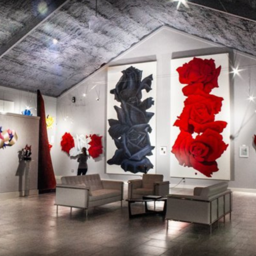 Museo Benini Field Trip